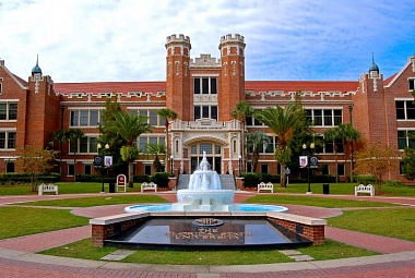 University of South Florida