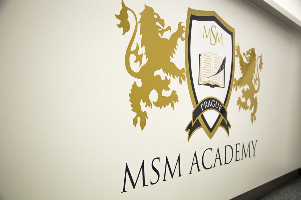 MSM Academy